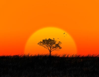 Africa’s Most Peaceful Countries – Number 1 Might Suprise You