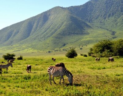 Exploring the Ngorongoro Crater: Tanzania’s Garden of Eden
