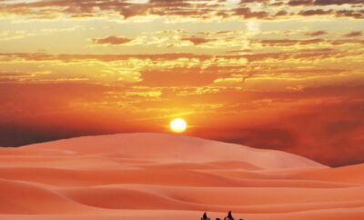 Discovering the Vast Beauty of the Sahara Desert