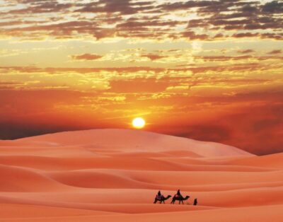 Discovering the Vast Beauty of the Sahara Desert