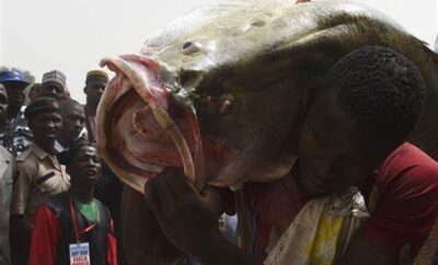 Fishing Festival in Argungu