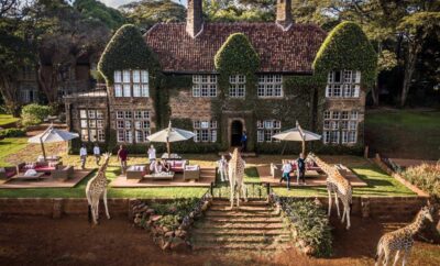 Breakfast with Giants: The Enchanting Charm of Giraffe Manor in Kenya