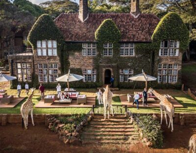 Breakfast with Giants: The Enchanting Charm of Giraffe Manor in Kenya