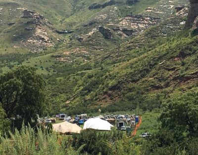 Back to the Bush Festival: A Celebration of Rural Life and Culture